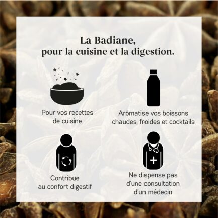 Bienfaits de la Badiane (Anis Étoilé)