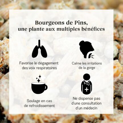 Bienfaits des Bourgeons de Pin Bio