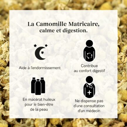 Bienfaits Camomille Matricaire