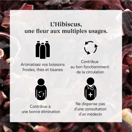 Bienfaits Hibiscus Bio