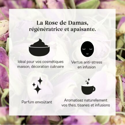 Bienfaits Bouton de Rose Bio