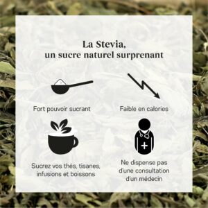 Bienfaits Stévia Bio