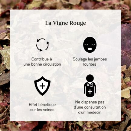 Bienfaits de Feuilles de Vignes Rouge Bio