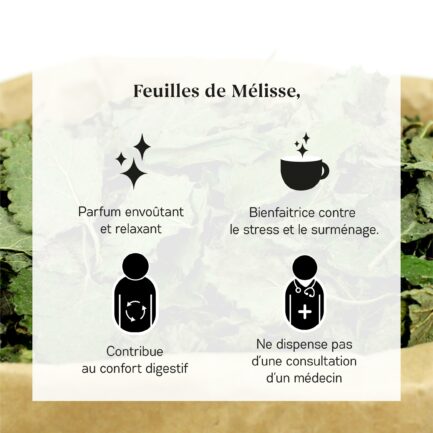 bienfaits de la mélisse bio