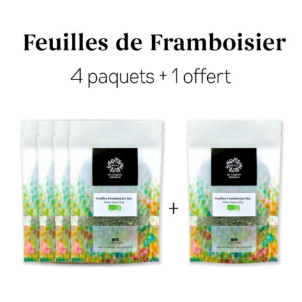 offre 4 + 1 offert de feuilles de framboisier