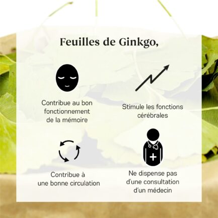 Bienfaits Ginkgo Bio