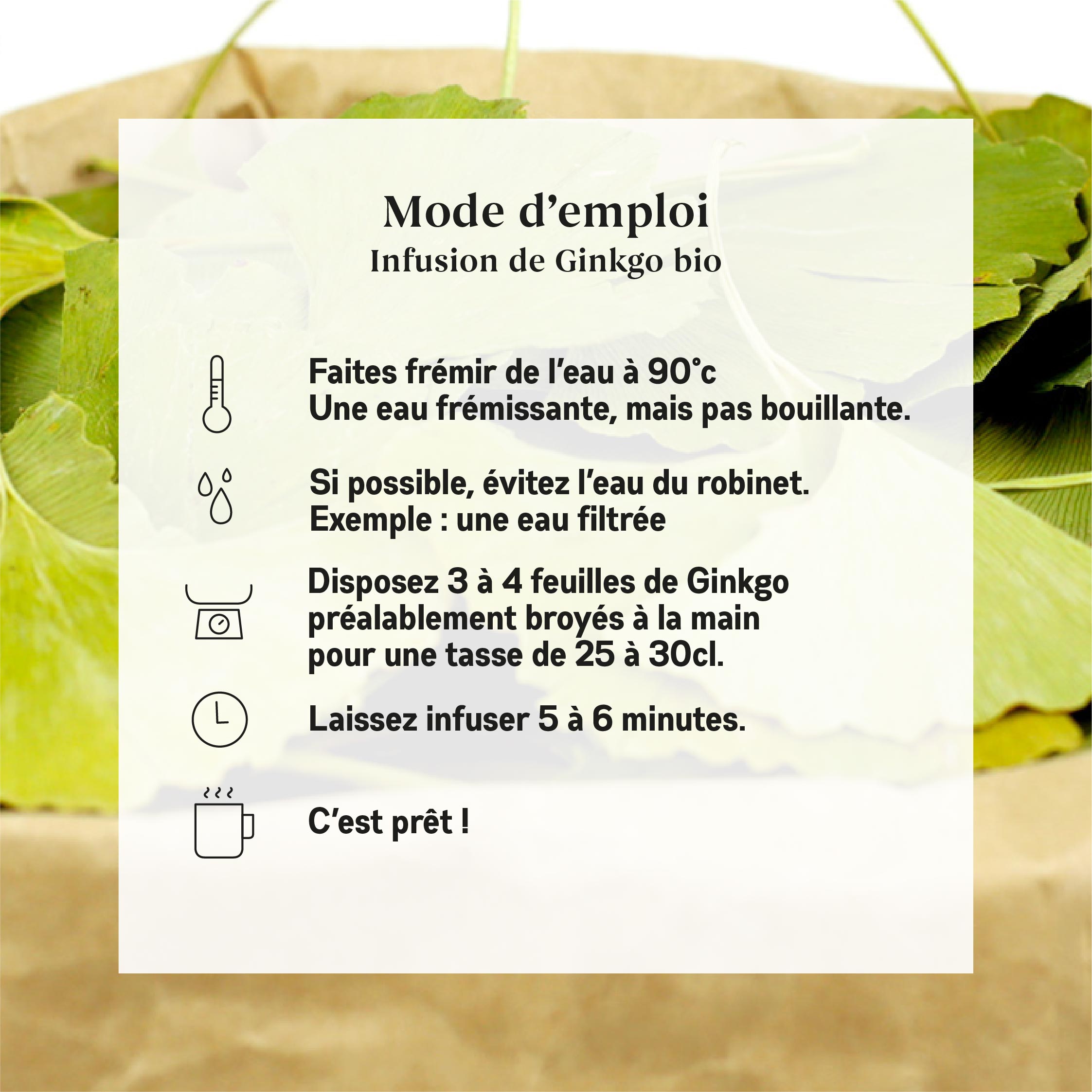 Ginkgo_visuel_amazon_hérité_Plan de travail 1 copie 7