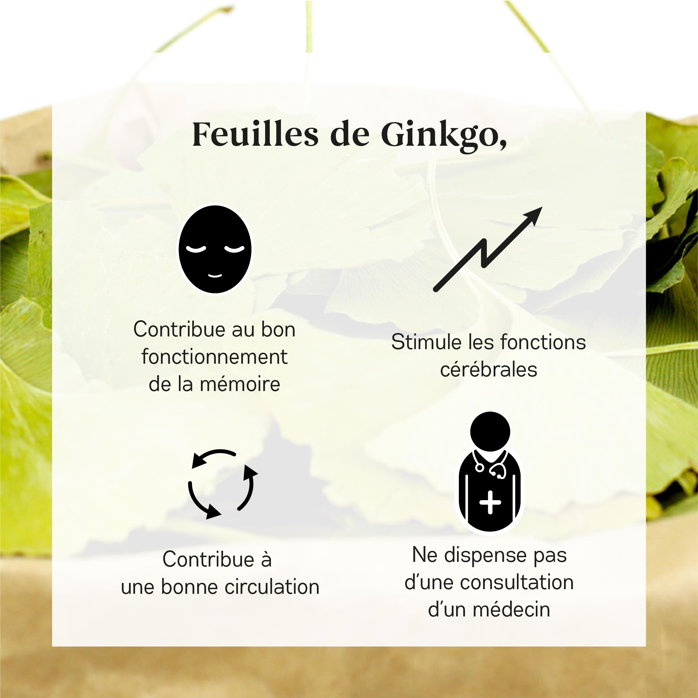 Ginkgo_visuel_amazon_hérité_Plan de travail 1 copie