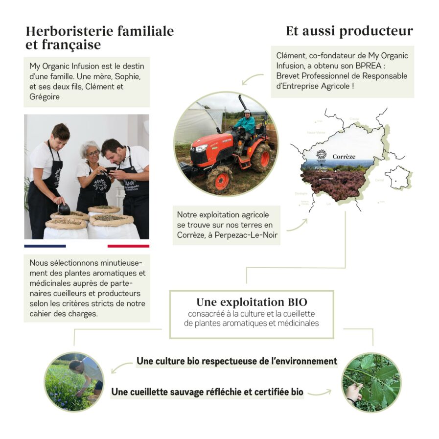 réassurance entrerpise cône de houblon bio entier