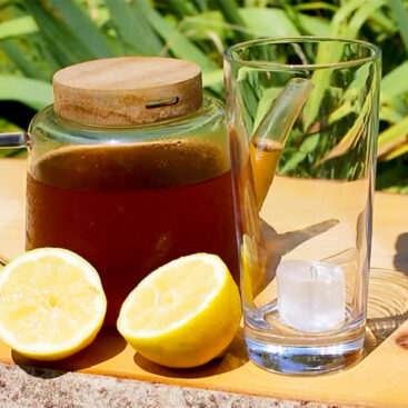 Recette Détox Gingembre Citron glacée dans sa tisanière et son verre de glaçon